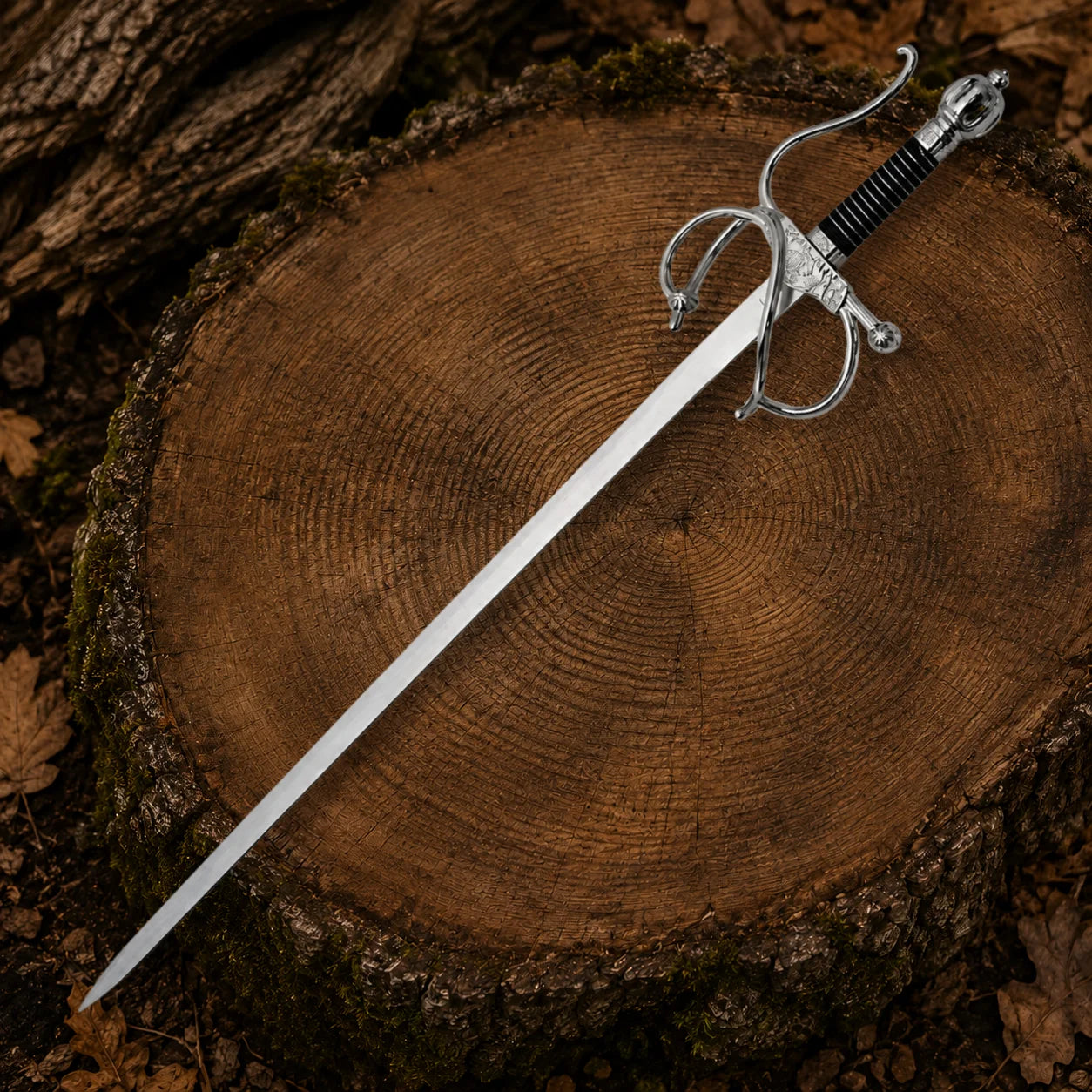 El Cid Rapier Sword stored inside its black scabbard with silver fittings and ornate swept-hilt handle on a tree stump