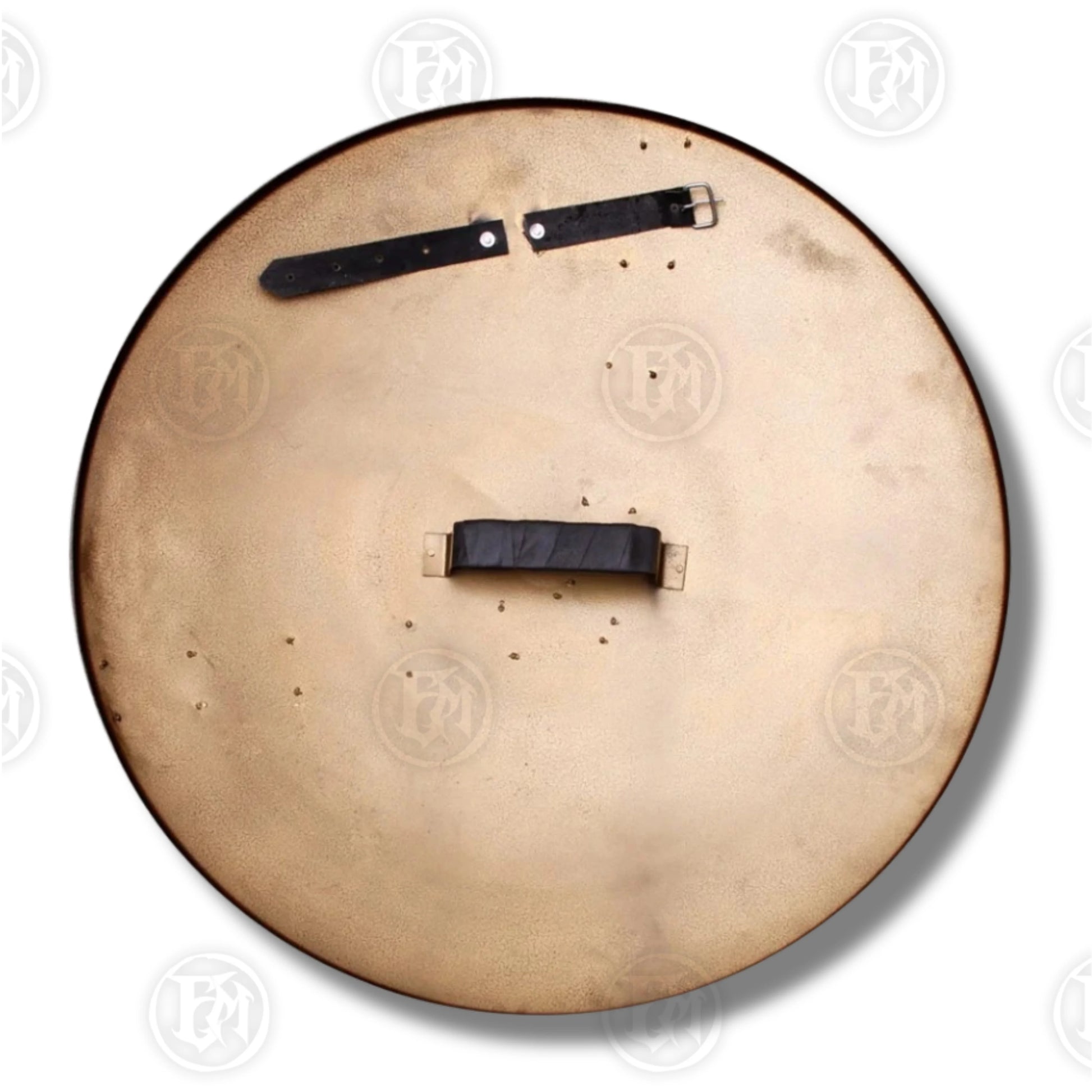 Premium Spartan Hoplon Elite Shield Replica with polyresin.