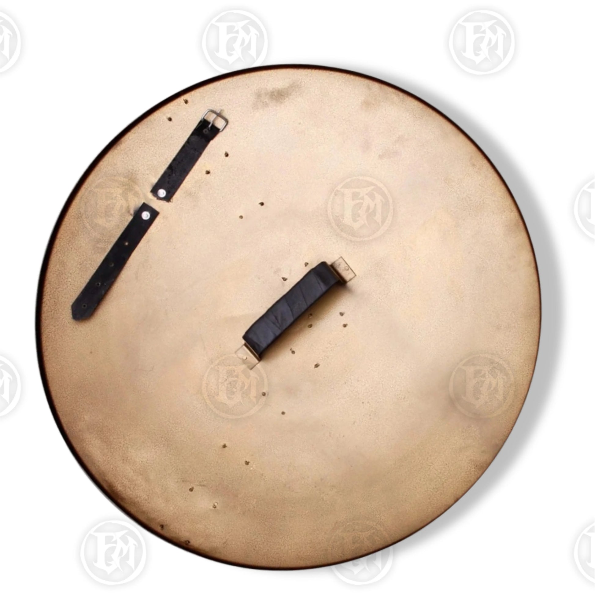 Premium Spartan Hoplon Elite Shield Replica with polyresin.