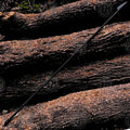 Spartan Spear from 300 – Legendary Replica